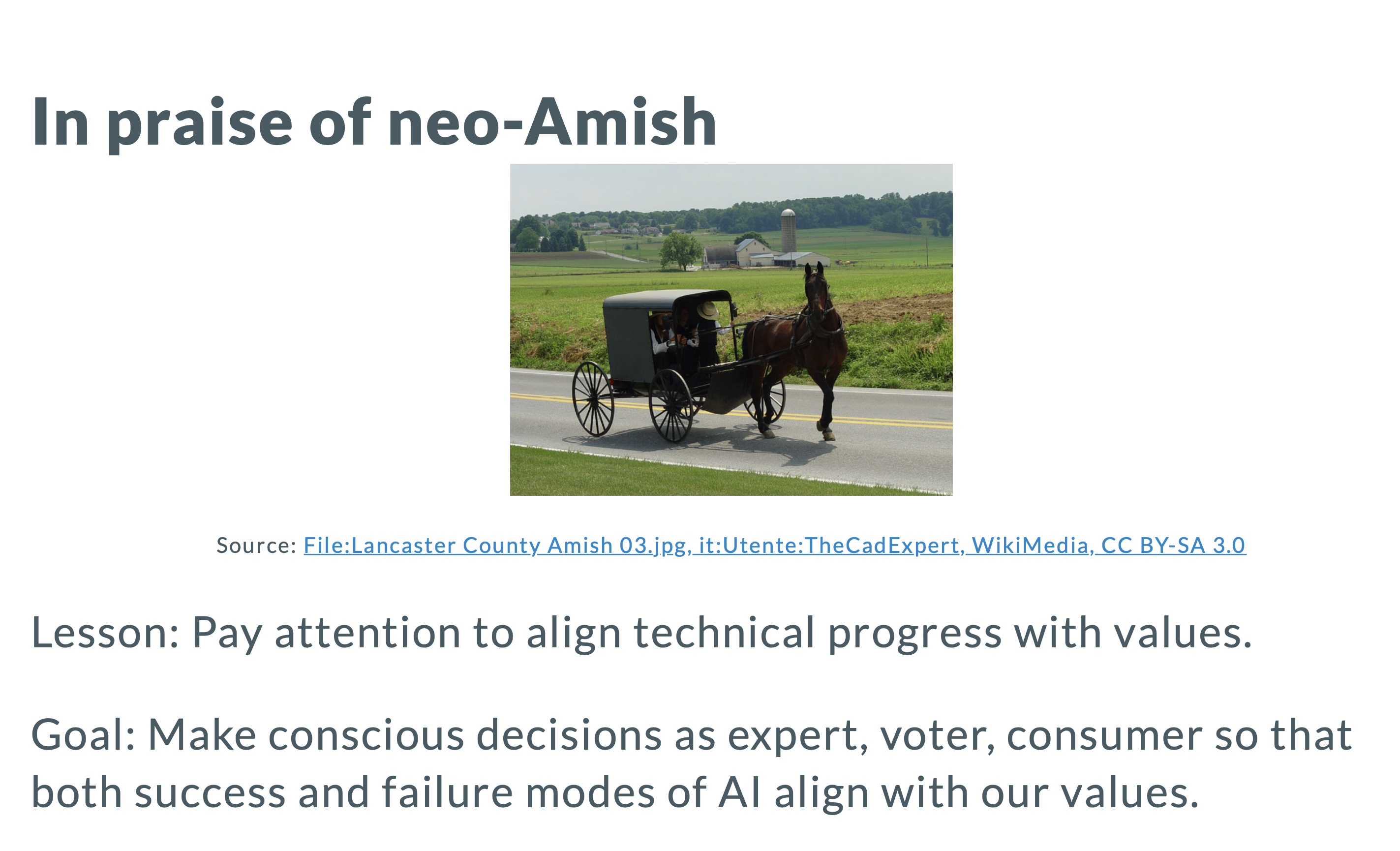AI Security Slide Neo-Amish